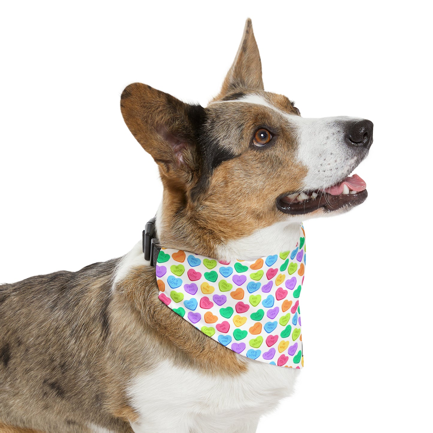 Candy Hearts | Doggy Bandana