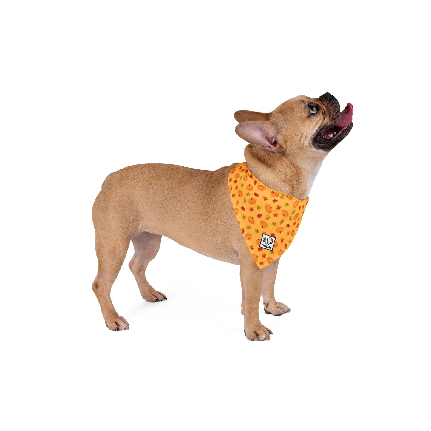 Pumpkins & Leaves | Doggy Bandana