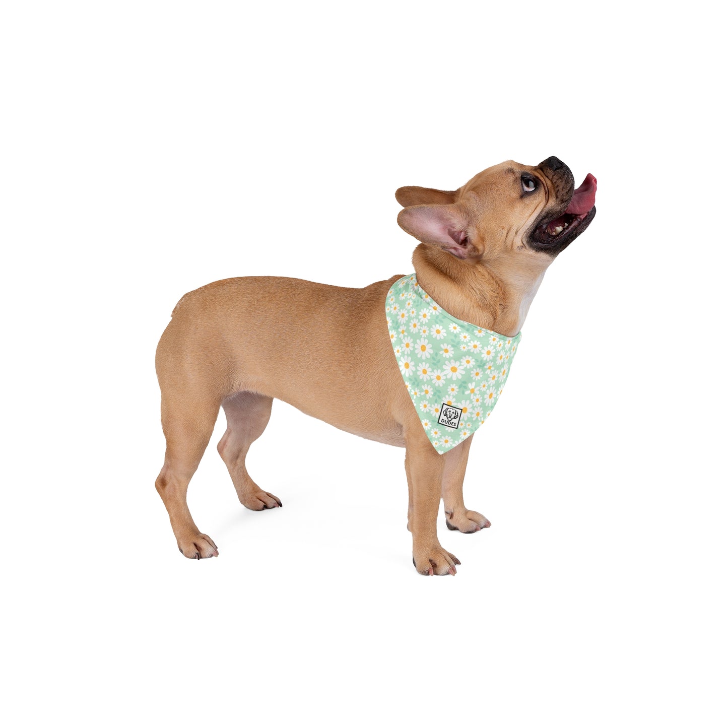 Mint Daisy | Dog Bandana