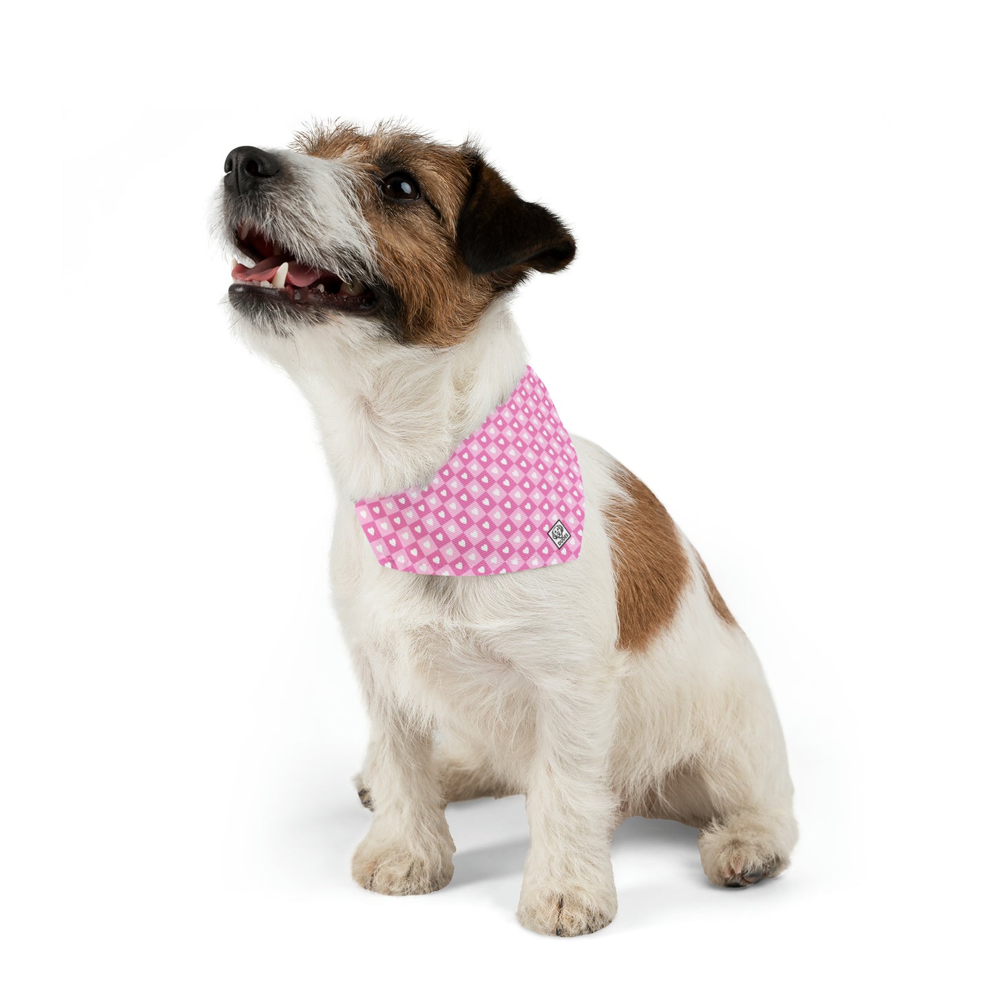 Lovey Dovey | Doggy Bandana