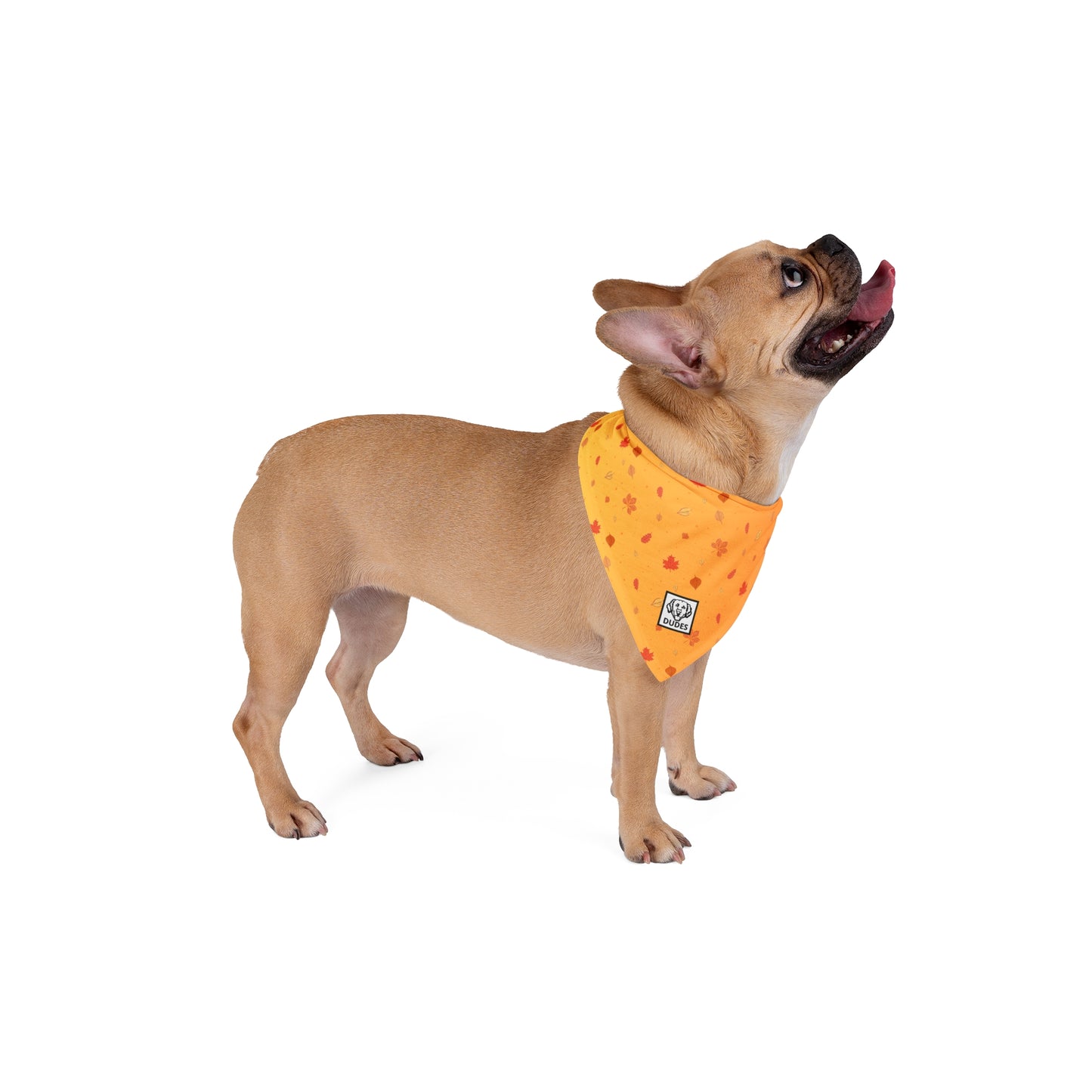 Fall Leaves | Doggy Bandana