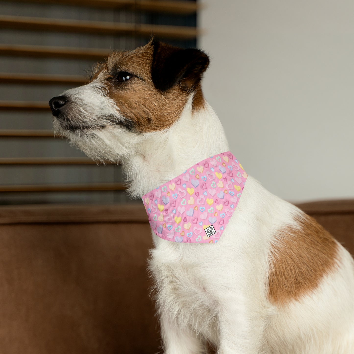 Heart Splash | Doggy Bandana