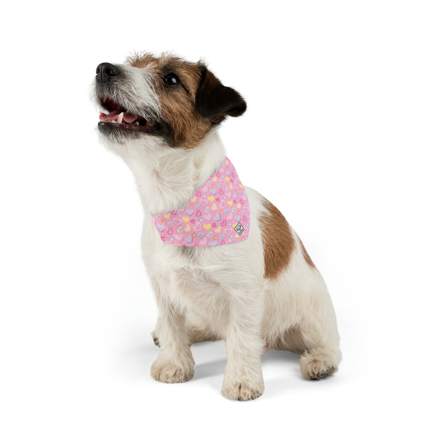 Heart Splash | Doggy Bandana