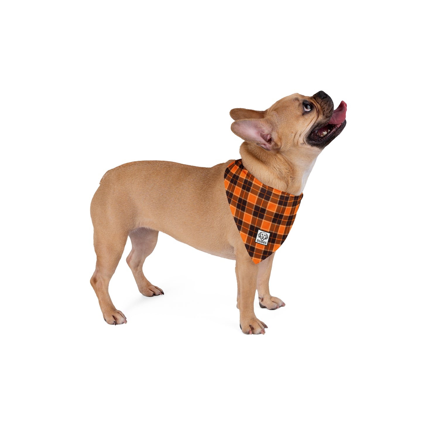 Orange Plaid | Doggy Bandana