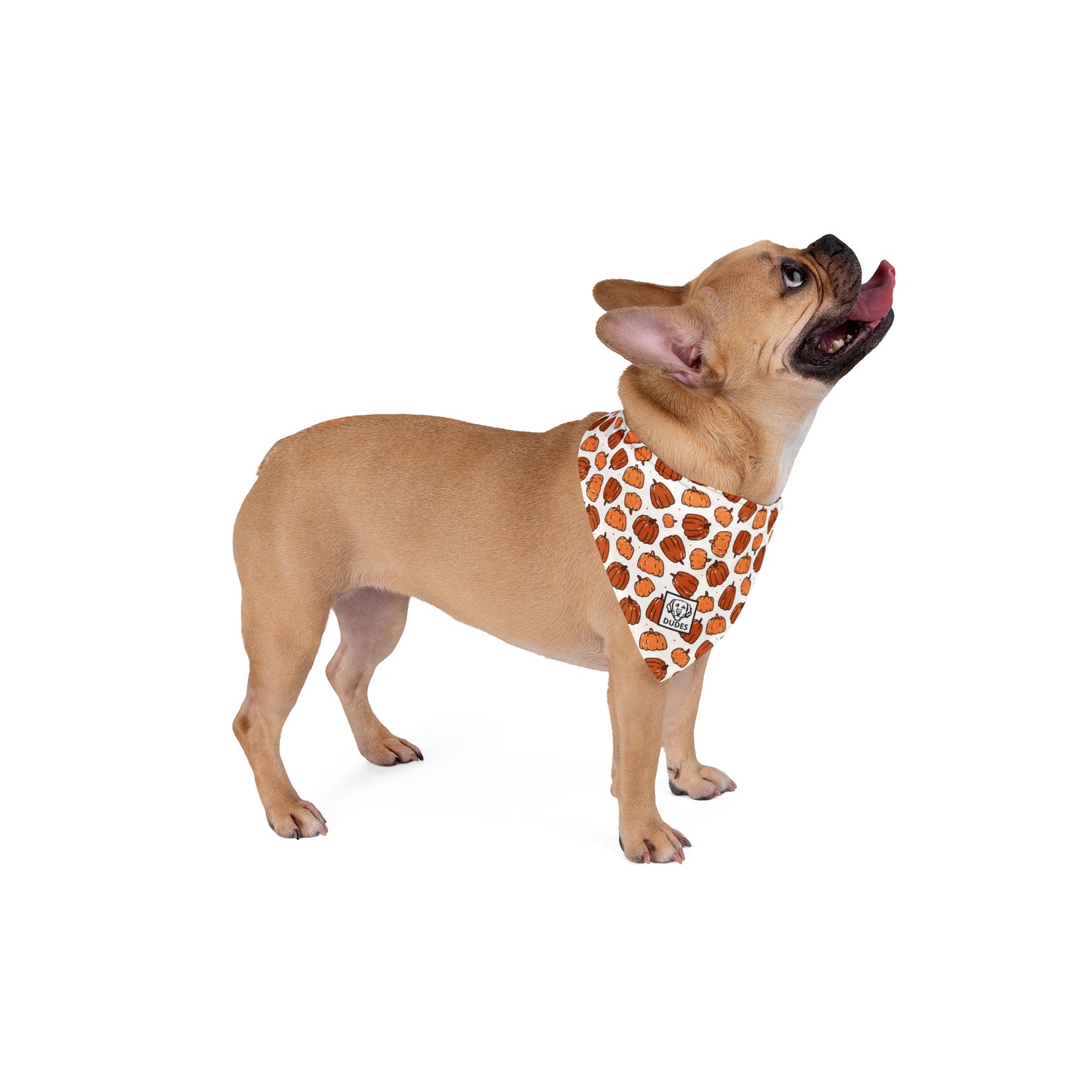 Pumpkins | Doggy Bandana
