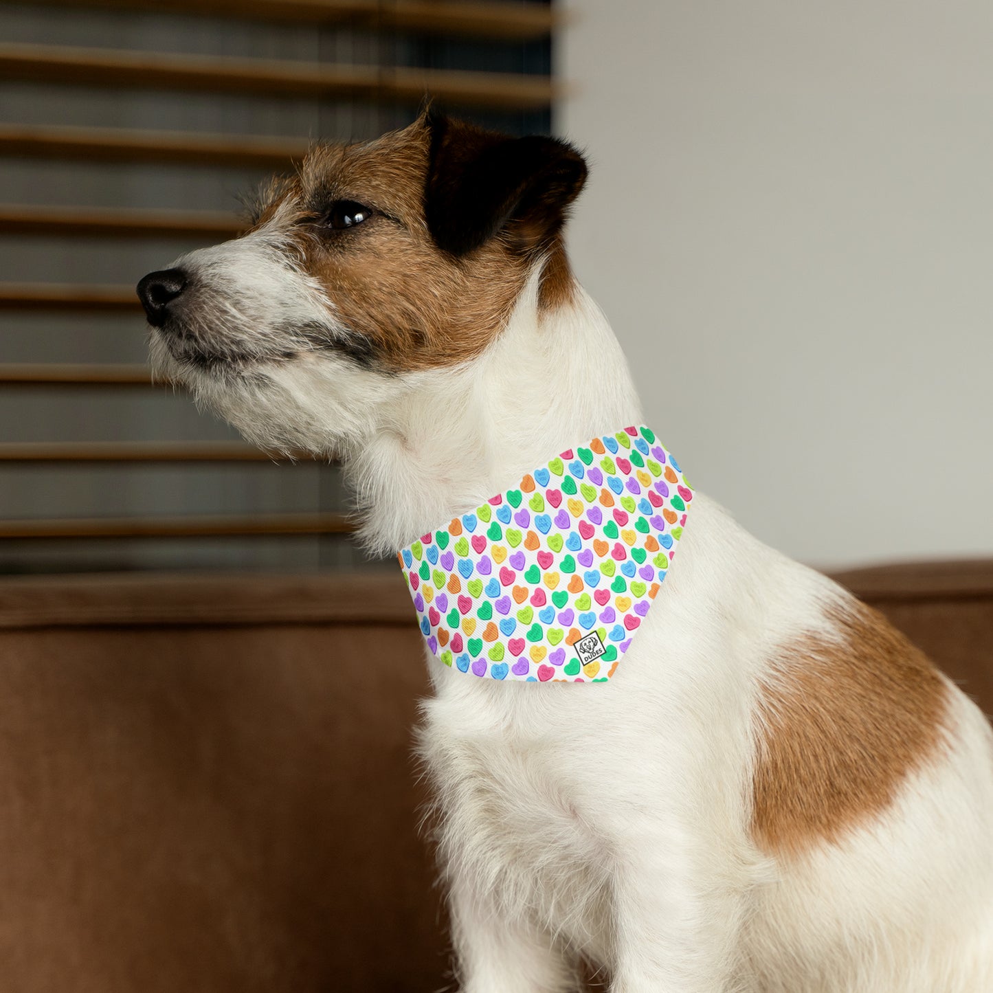 Candy Hearts | Doggy Bandana
