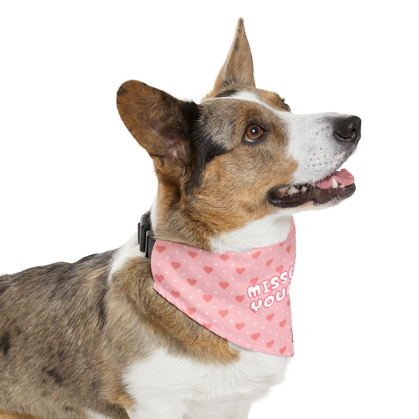 Misses Melt Your Heart | Doggy Bandana