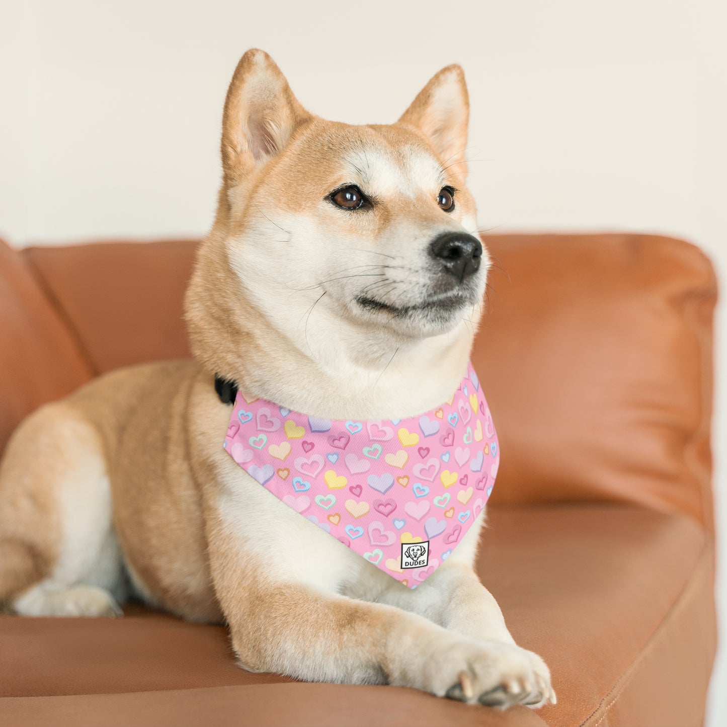 Heart Splash | Doggy Bandana