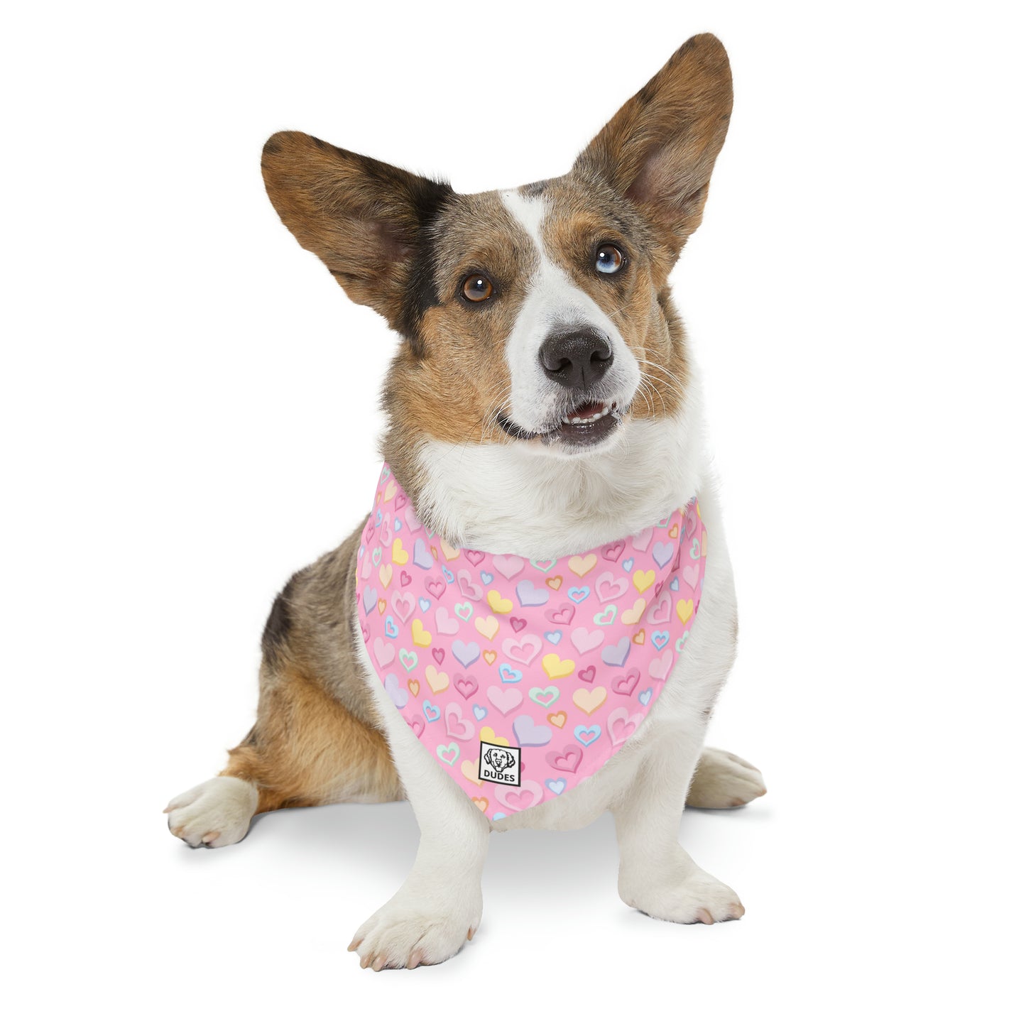 Heart Splash | Doggy Bandana
