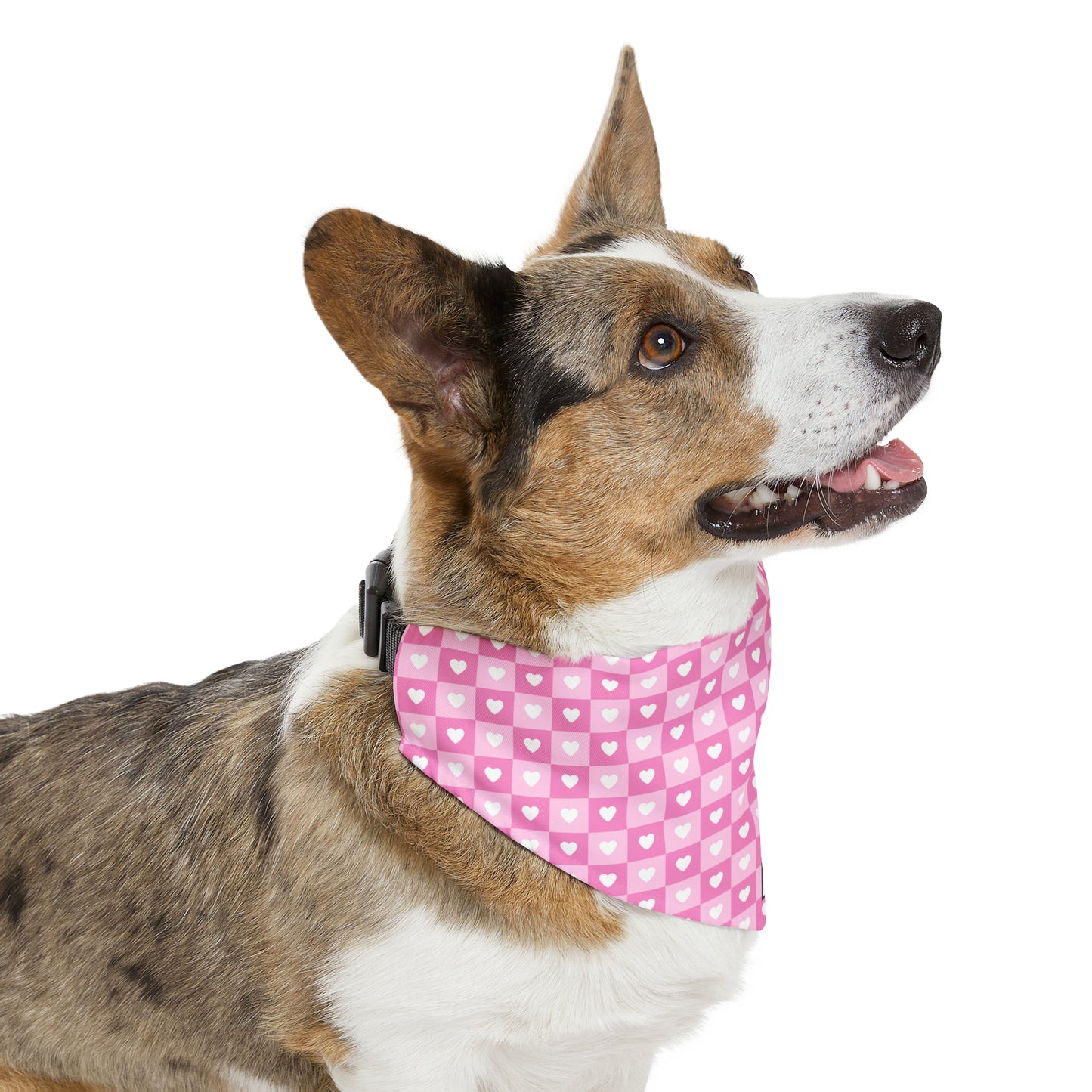 Lovey Dovey | Doggy Bandana