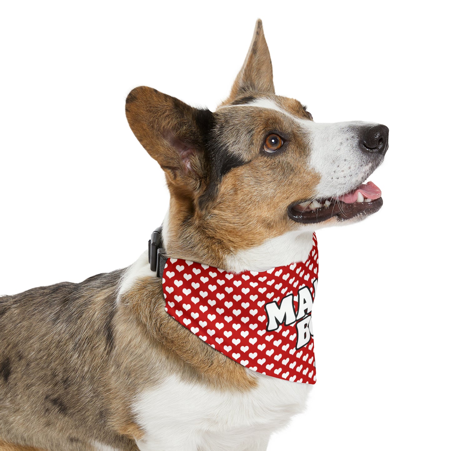 Mama's Boy | Doggy Bandana