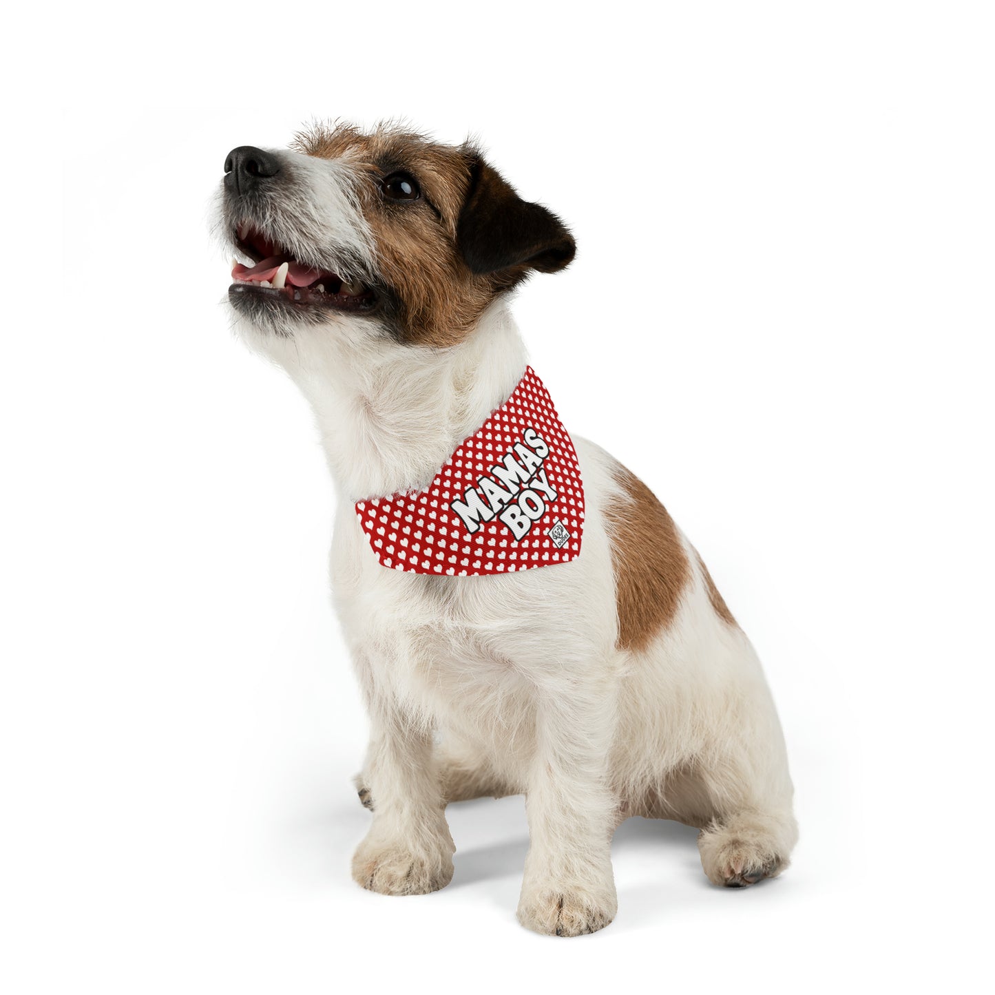 Mama's Boy | Doggy Bandana