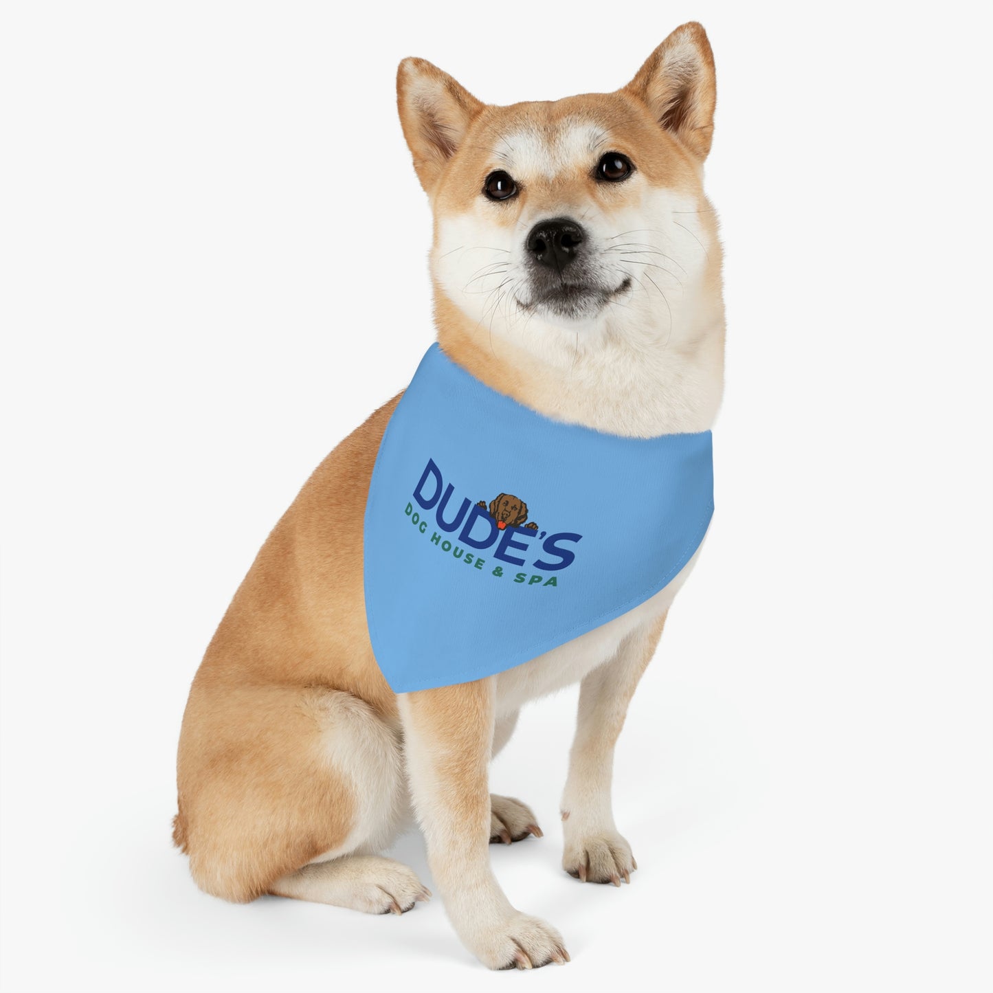 Bandana Collar | Blue