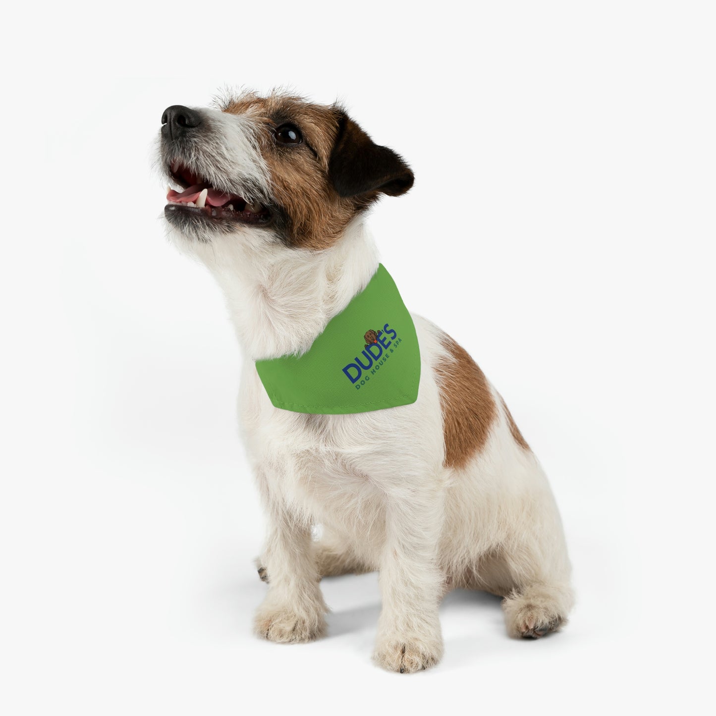 Bandana Collar | Green