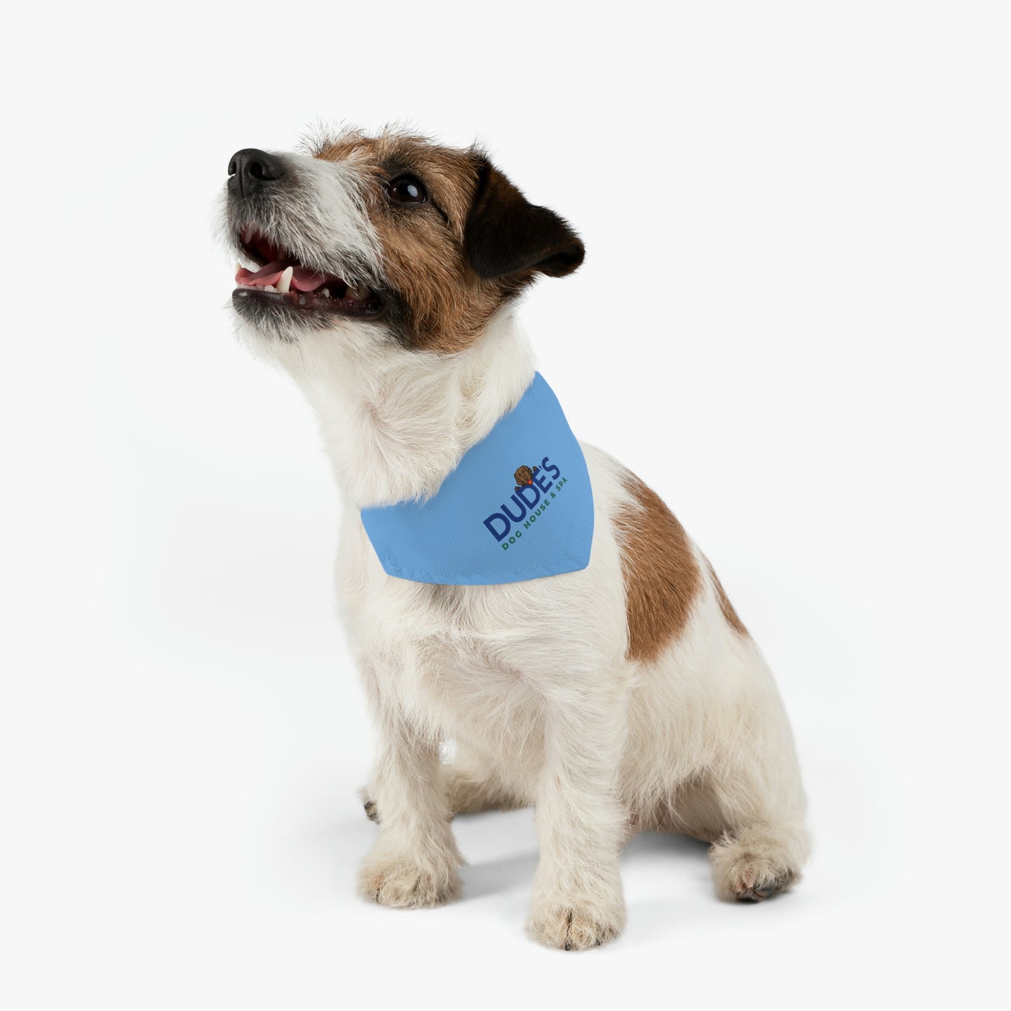 Bandana Collar | Blue