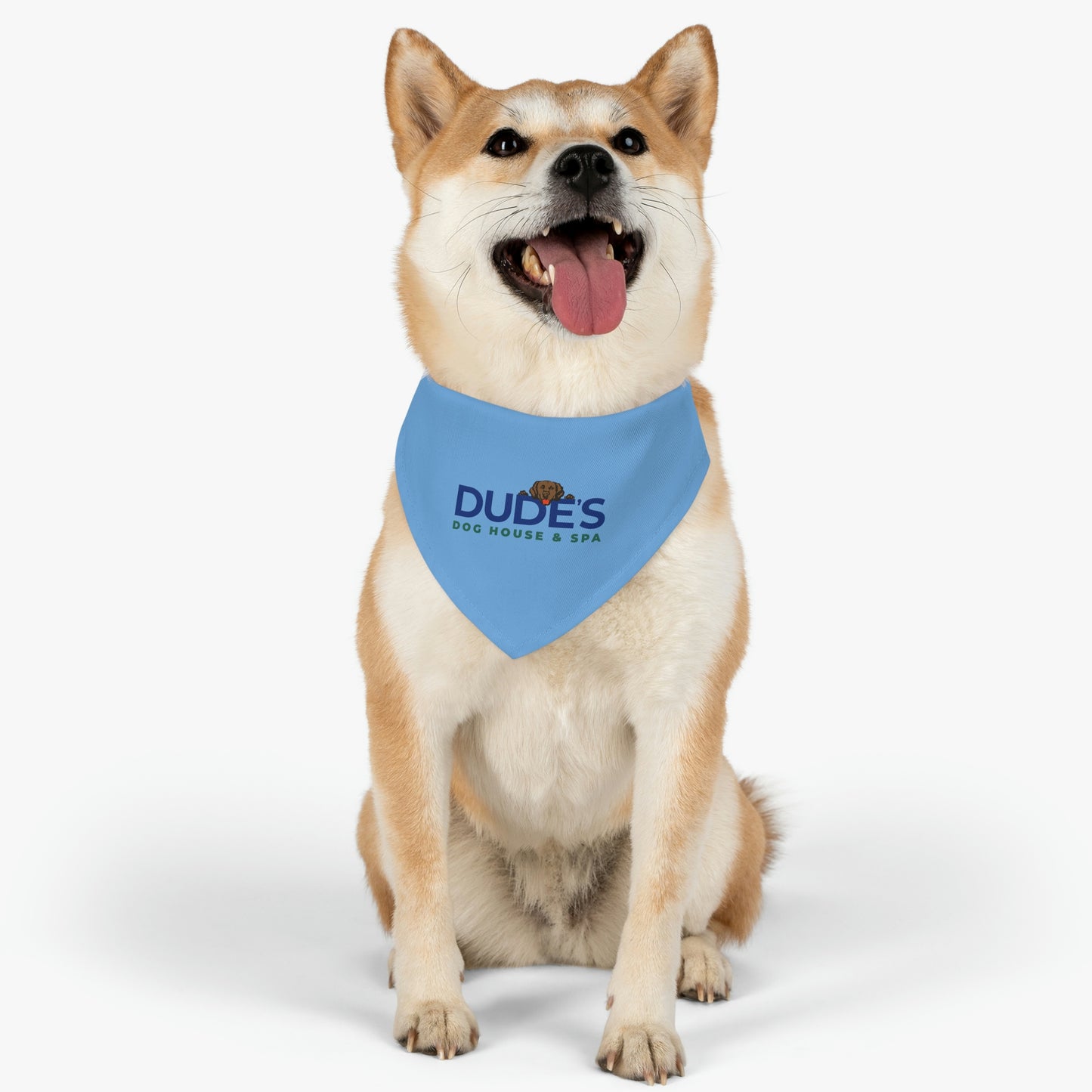 Bandana Collar | Blue