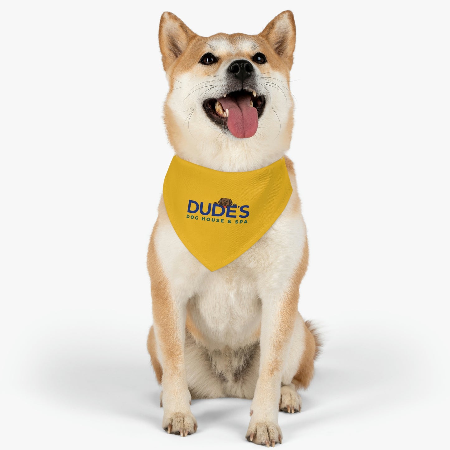 Bandana Collar | Yellow