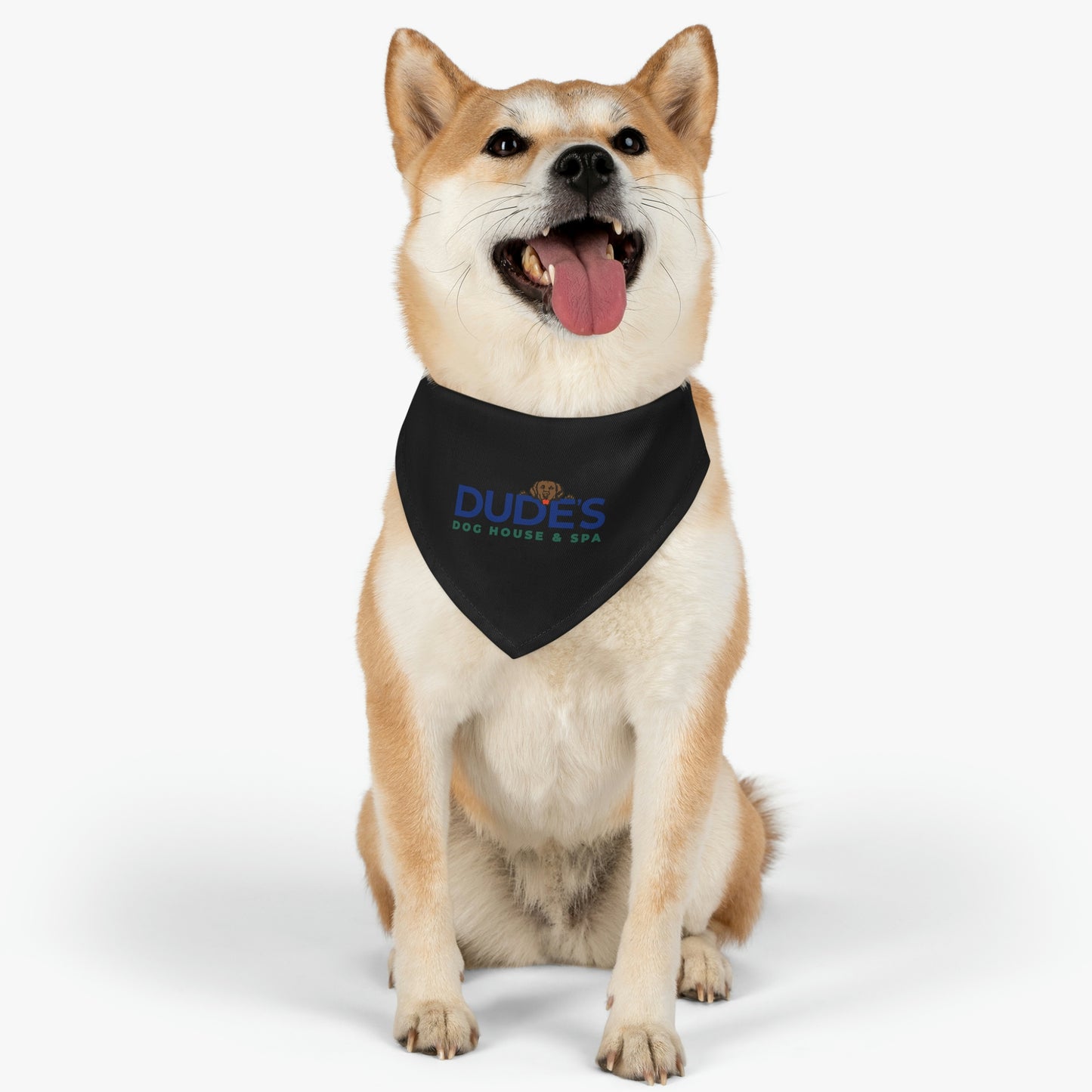 Bandana Collar | Black