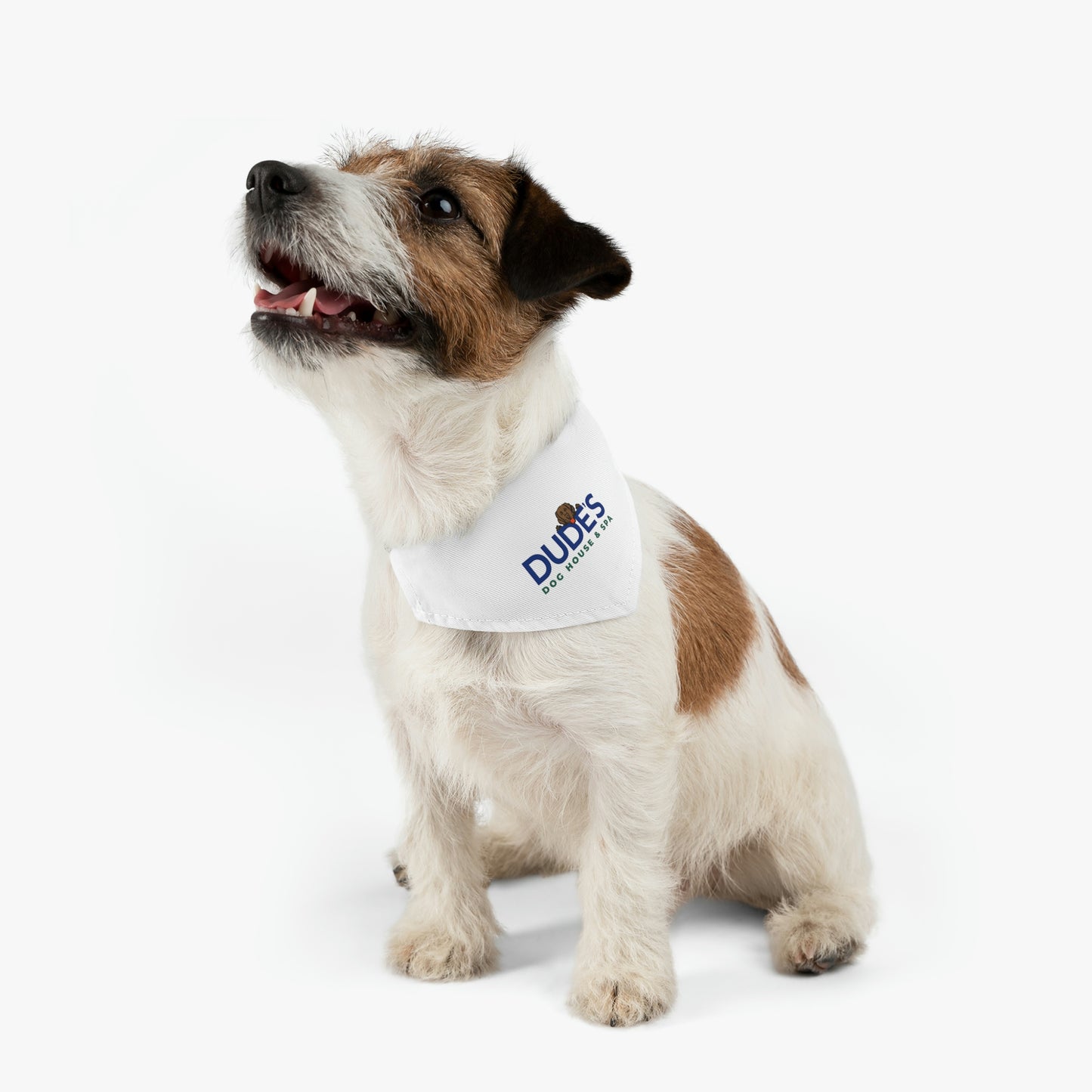 Bandana Collar | White