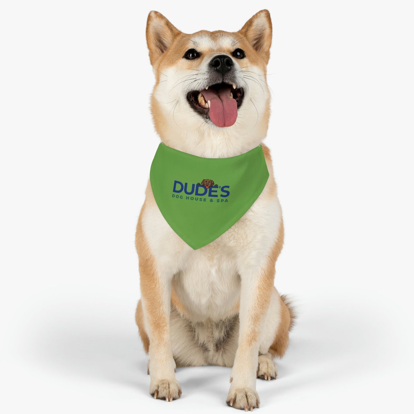 Bandana Collar | Green