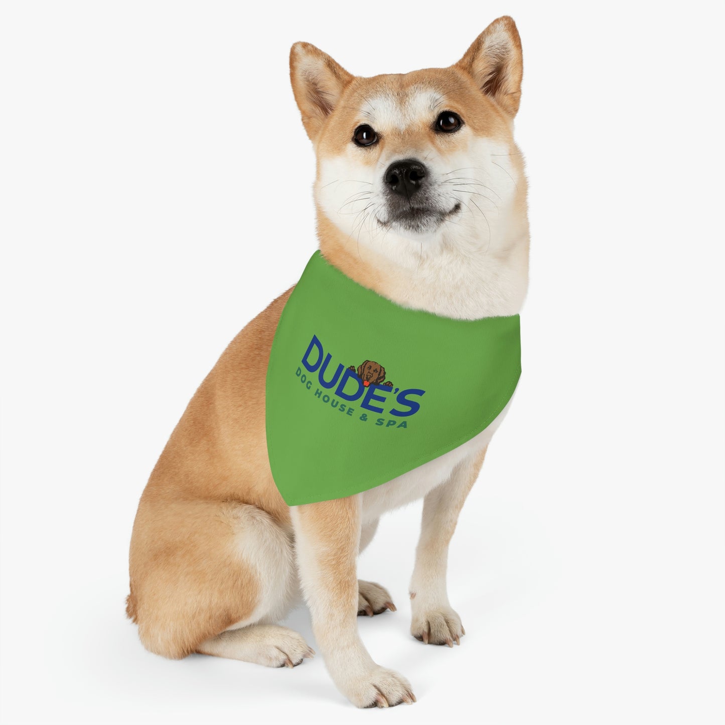 Bandana Collar | Green