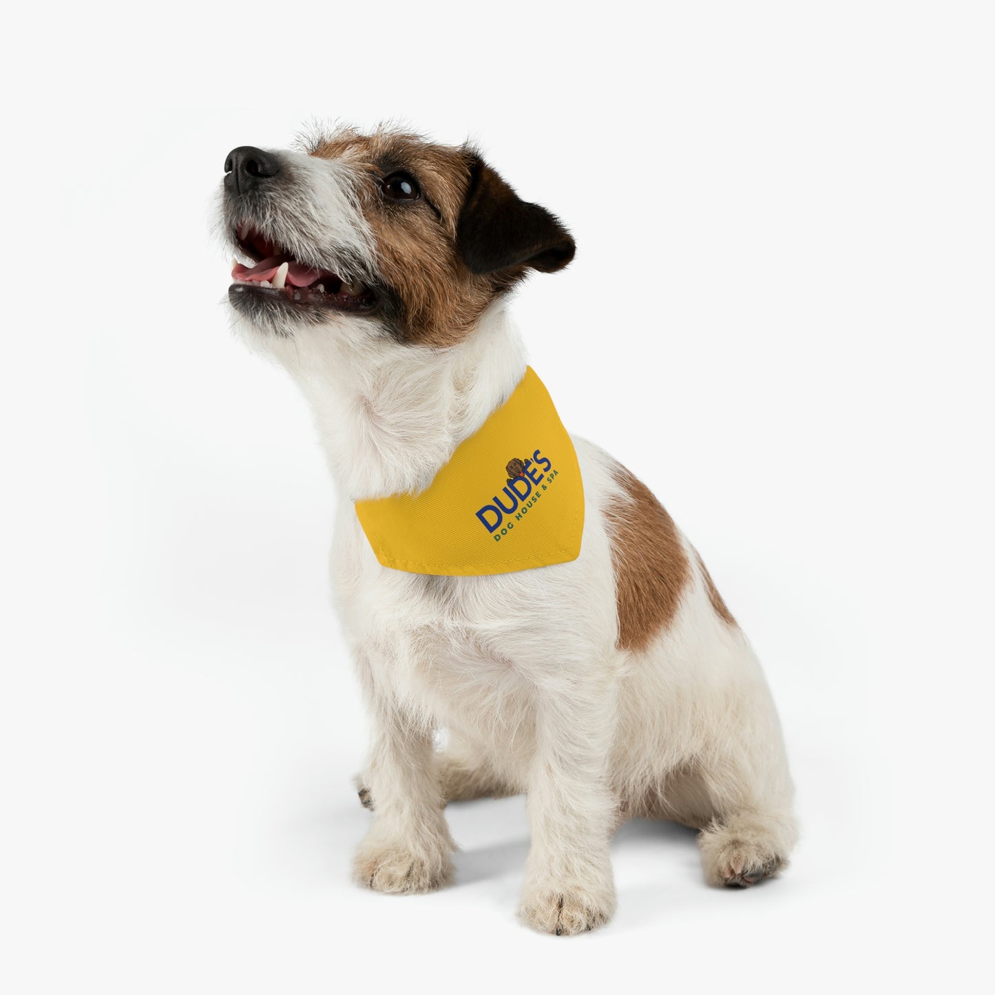 Bandana Collar | Yellow