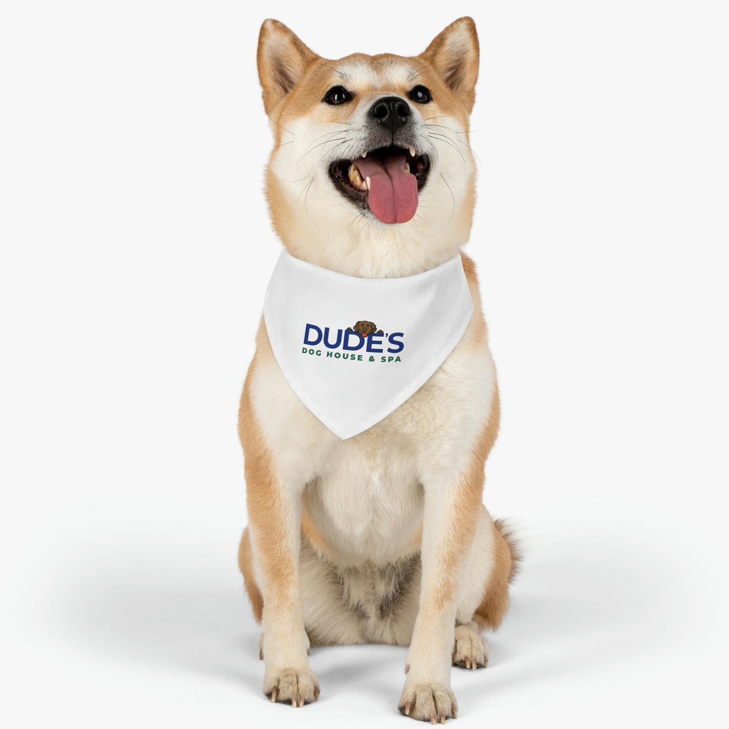 Bandana Collar | White