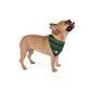 Reindeer Sweater | Dog Bandana