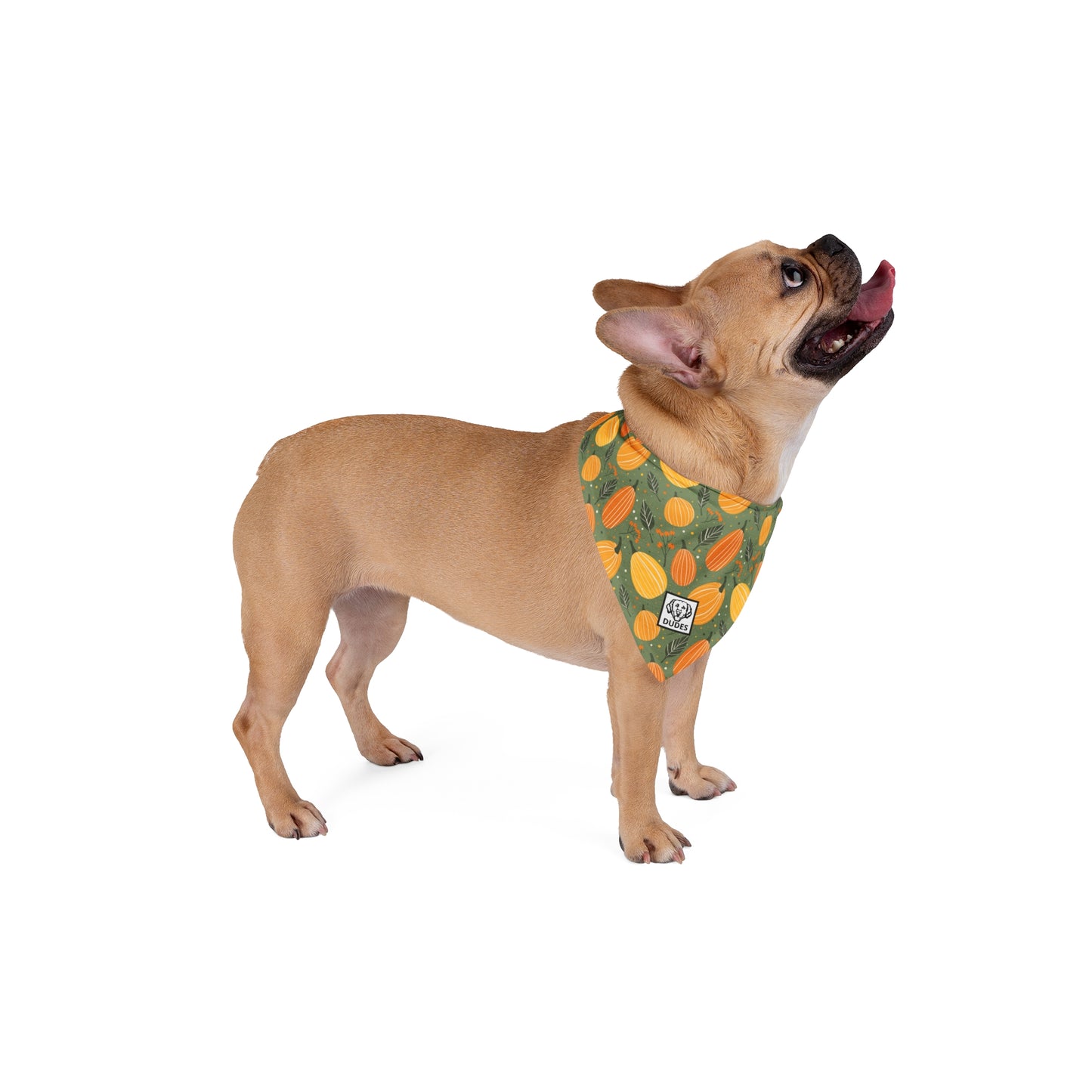 Green Pumpkins | Doggy Bandanas