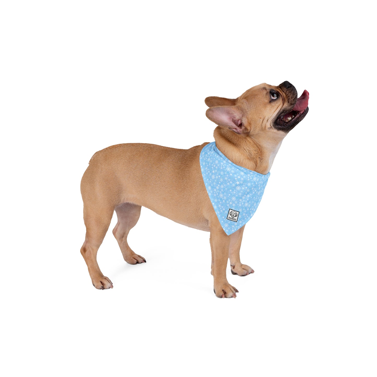 Winter Wonderland | Dog Bandana