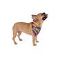 Rainbow Tie Dye | Dog Bandana