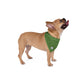 Festive Green | Dog Bandana