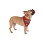 No Mistletoe Needed | Dog Bandana