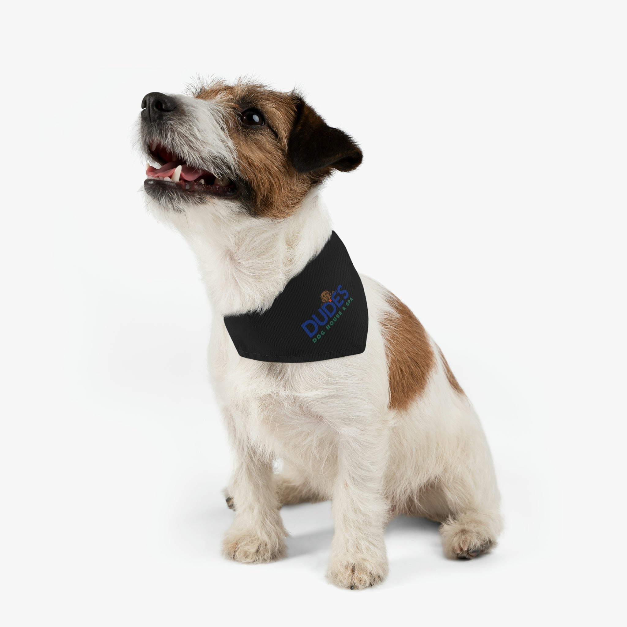 Black bandana dog collar shops